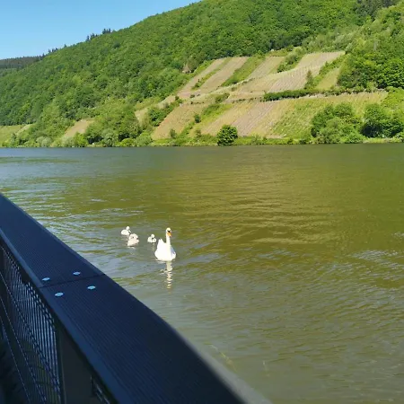 Botel Hausboot Mosel *