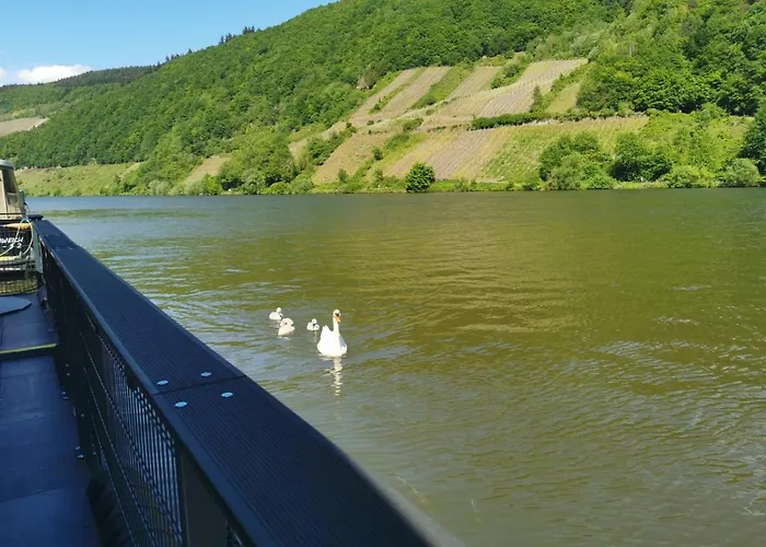 Botel Hausboot Mosel *